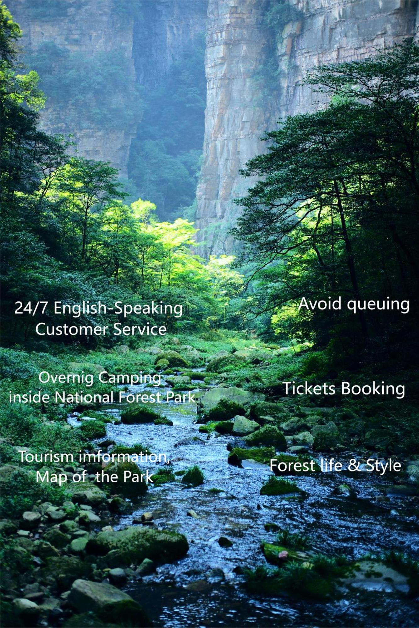 Zhangjiajie National Forest Park Camping מראה חיצוני תמונה