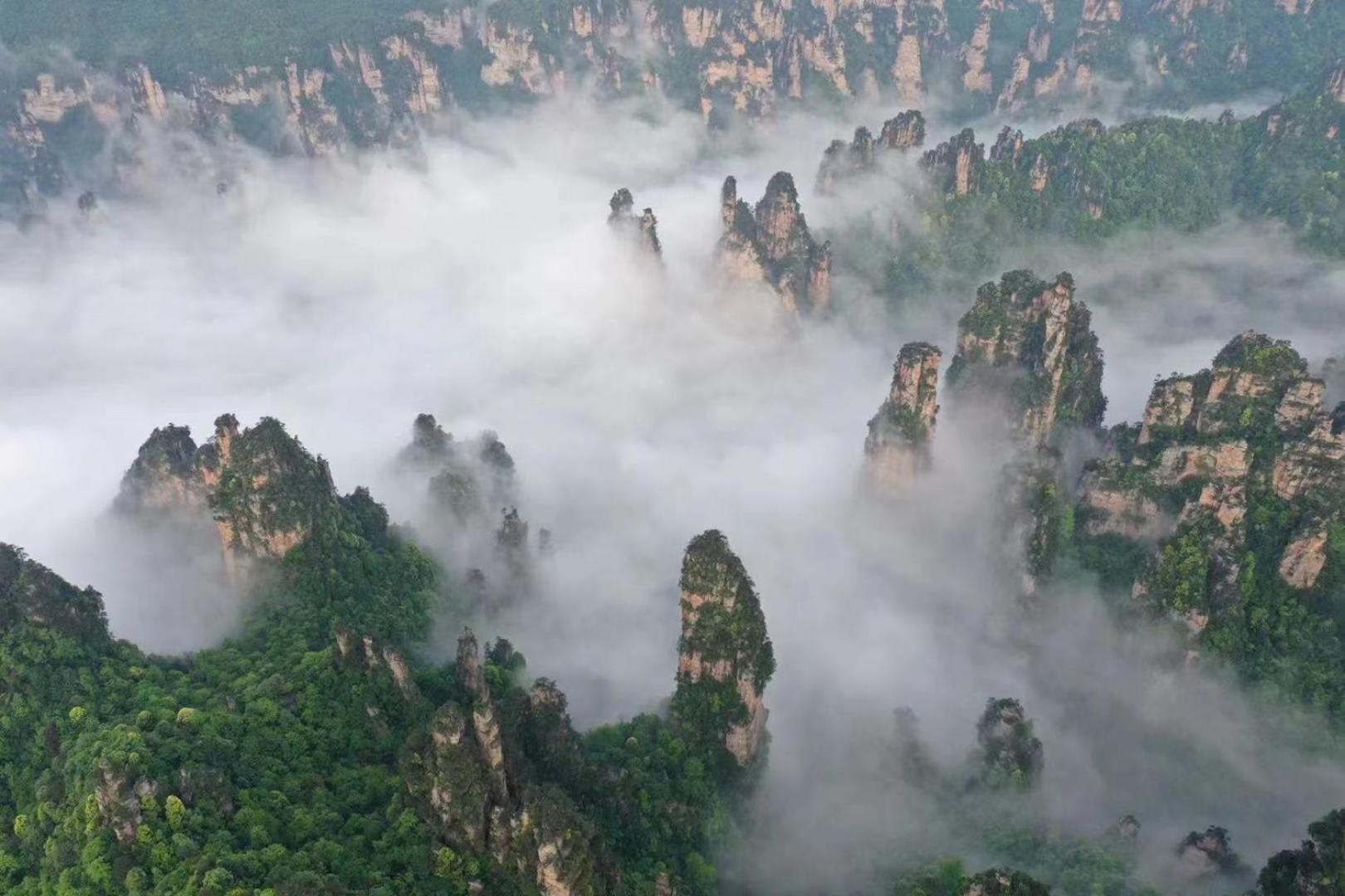 Zhangjiajie National Forest Park Camping מראה חיצוני תמונה